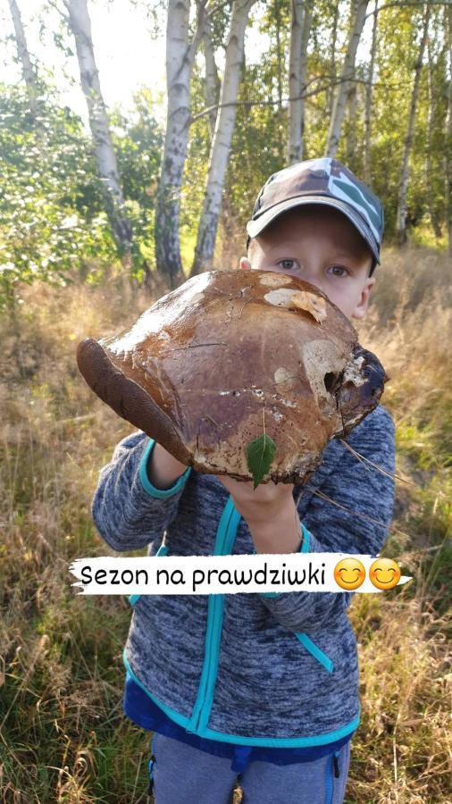 Aris Pokoje Goscinne Wojnicz Exterior foto